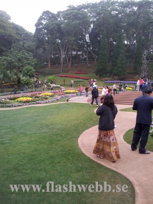 20111211_130259.jpg