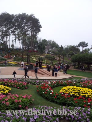 20111211_130919.jpg