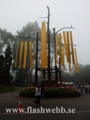 20111211_131508.jpg
