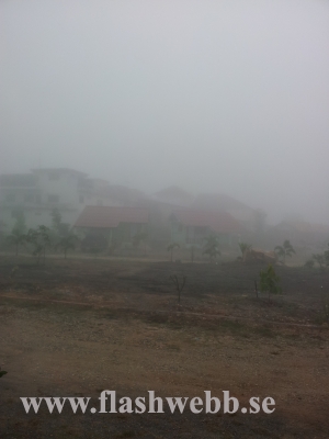 20111213_074029.jpg