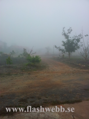 20111213_074131.jpg