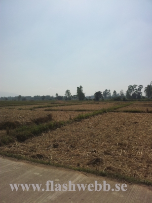 20111213_121141.jpg