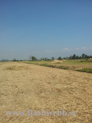 20111213_121147.jpg