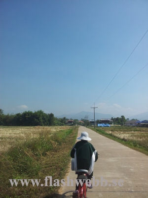 20111213_121256.jpg