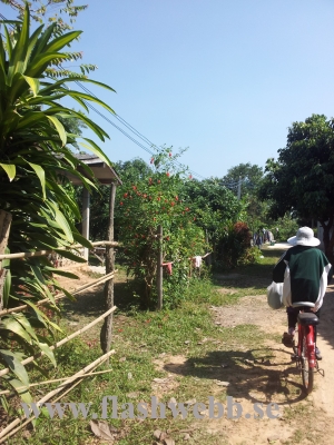 20111213_121600.jpg