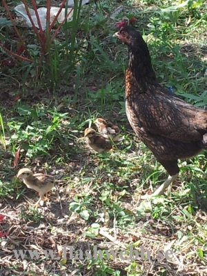 20111213_121948.jpg