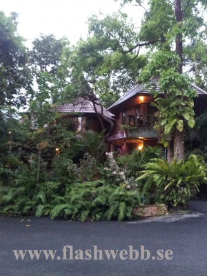 20111216_180832.jpg
