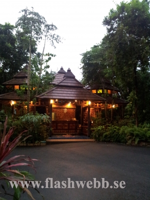 20111216_180837.jpg