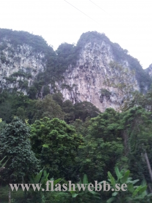 20111216_180845.jpg