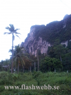 20111216_181218.jpg