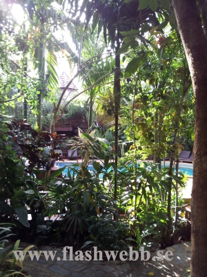 20111217_160746.jpg