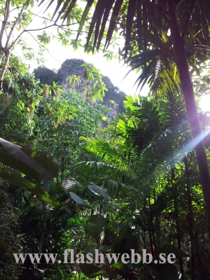20111217_160806.jpg