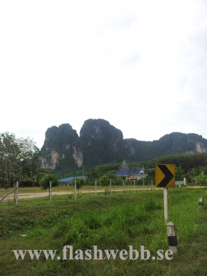 20111218_141456.jpg