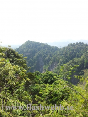 20111219_131822.jpg