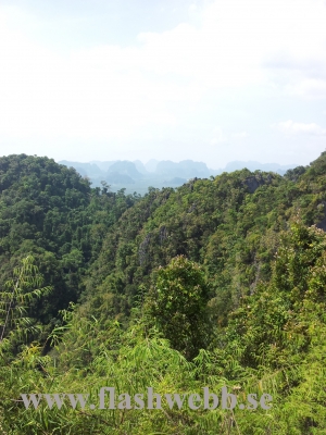 20111219_131829.jpg