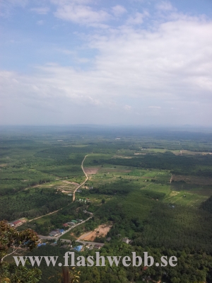 20111219_132126.jpg