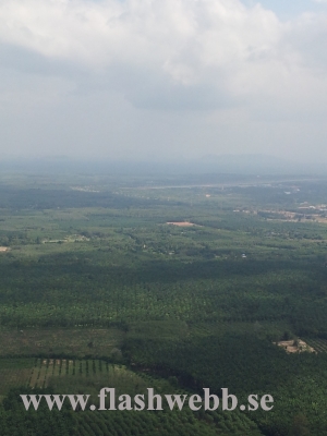 20111219_132137.jpg