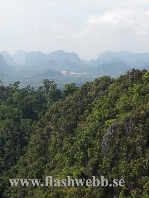20111219_132540.jpg