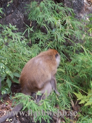 20111219_134550.jpg