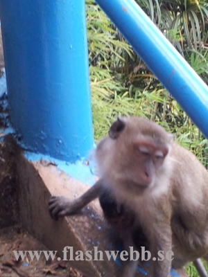 20111219_134558.jpg