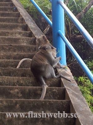 20111219_134636.jpg