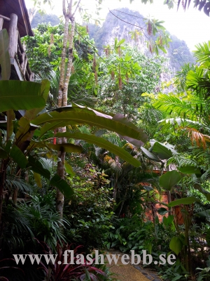 20111221_161717.jpg