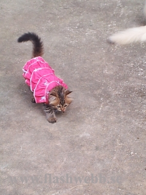 20111222_090358.jpg