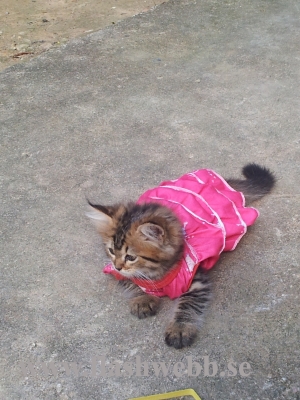 20111222_090439.jpg