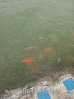 20111222_115840.jpg