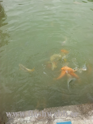 20111222_115852.jpg