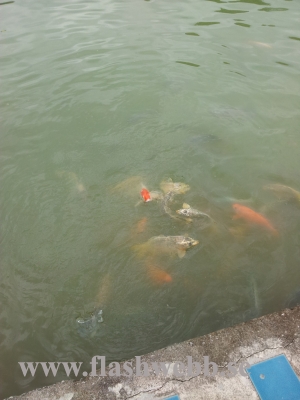 20111222_115859.jpg