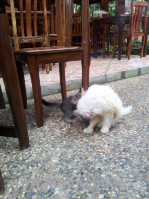 20111223_084634.jpg