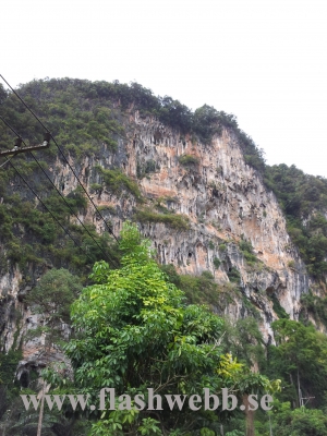 20111223_143953.jpg