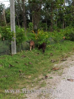 20111223_145829.jpg
