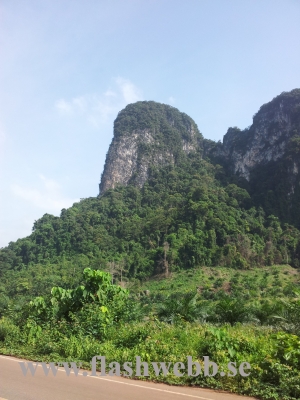 20111226_142107.jpg