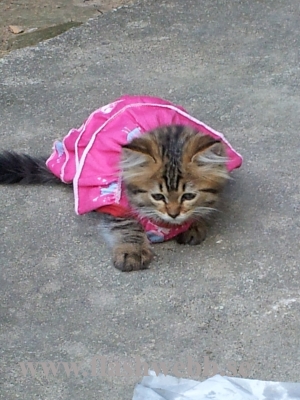 20111230_082602.jpg