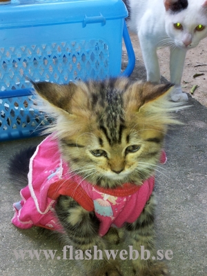 20111230_082733.jpg
