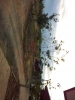 20111211_072730.jpg