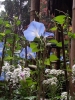 20111211_124531.jpg