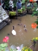 20111211_124758.jpg