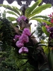20111211_125330.jpg