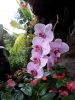 20111211_125336.jpg
