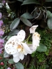 20111211_125348.jpg
