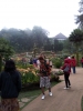 20111211_130009.jpg