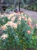 20111211_130101.jpg