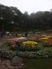 20111211_130249.jpg