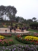 20111211_130919.jpg