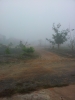 20111213_074131.jpg