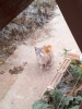 20111213_074836.jpg