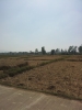 20111213_121141.jpg